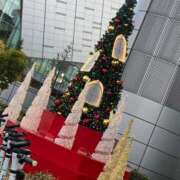 ヒメ日記 2025/11/24 09:09 投稿 霧島　ゆう Amateras～アマテラス～