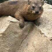 ヒメ日記 2025/12/03 01:24 投稿 霧島　ゆう Amateras～アマテラス～