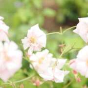 ヒメ日記 2026/06/15 11:27 投稿 霧島　ゆう Amateras～アマテラス～