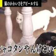 ヒメ日記 2026/06/26 09:53 投稿 霧島　ゆう Amateras～アマテラス～