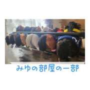 ヒメ日記 2026/07/31 14:00 投稿 みゆ 奥鉄オクテツ東京店（デリヘル市場）