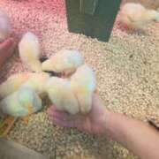 ヒメ日記 2026/08/13 18:50 投稿 みゆ 奥鉄オクテツ東京店（デリヘル市場）