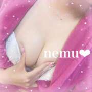 ヒメ日記 2026/02/16 14:22 投稿 ネム ポニーテール和歌山店