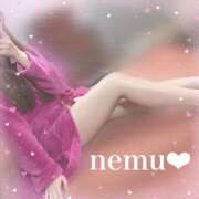 ネム ♡大人な夜♡ ポニーテール和歌山店