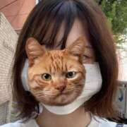 ヒメ日記 2025/08/20 19:47 投稿 かほ 大阪はまちゃん 谷九店