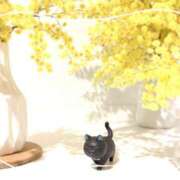 ヒメ日記 2025/03/25 18:18 投稿 なな プレジデントオアシス