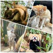 ヒメ日記 2025/03/31 19:34 投稿 なな プレジデントオアシス