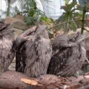 ヒメ日記 2025/04/22 10:54 投稿 なな プレジデントオアシス