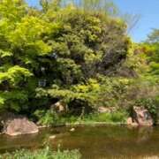 ヒメ日記 2025/04/30 14:31 投稿 なな プレジデントオアシス