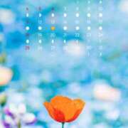 ヒメ日記 2025/05/01 08:04 投稿 なな プレジデントオアシス