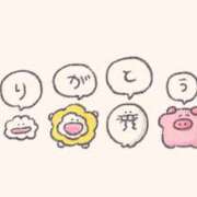 ヒメ日記 2025/10/30 21:26 投稿 なな プレジデントオアシス