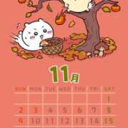 ヒメ日記 2025/11/15 09:54 投稿 なな プレジデントオアシス