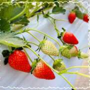 なな ·͜· ꕤ︎︎ プレジデントオアシス