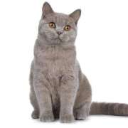 ヒメ日記 2025/12/20 15:54 投稿 まどか プレジデントオアシス