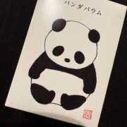 ヒメ日記 2026/03/09 09:47 投稿 まどか プレジデントオアシス