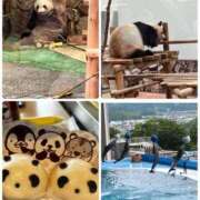 ヒメ日記 2025/05/27 12:23 投稿 あい 熟女家 十三店