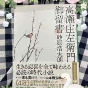 あい 高瀬庄左衛門　御留書 熟女家 十三店