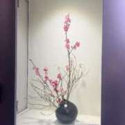 ヒメ日記 2025/03/20 09:25 投稿 愛 素人妻達☆マイふぇらレディー