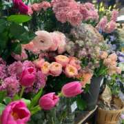 ヒメ日記 2025/03/30 17:44 投稿 愛 素人妻達☆マイふぇらレディー