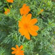 ヒメ日記 2025/09/23 19:50 投稿 めぐみ トマトなび