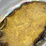 ヒメ日記 2025/09/26 22:16 投稿 めぐみ トマトなび