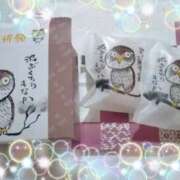 ヒメ日記 2026/02/28 15:04 投稿 めぐみ トマトなび