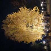 ヒメ日記 2025/11/19 09:25 投稿 ねお　体験入店 愛ロマンス