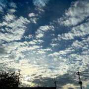 ヒメ日記 2025/11/11 17:01 投稿 滝沢　あきな 癒し娘診療所 水戸・ひたちなか店