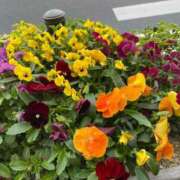 滝沢　あきな 出会い 癒し娘診療所 水戸・ひたちなか店