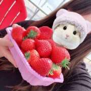 ヒメ日記 2026/03/27 15:15 投稿 めい 栃木宇都宮ちゃんこ