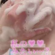 ヒメ日記 2026/05/26 11:55 投稿 めい 栃木宇都宮ちゃんこ