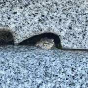 ヒメ日記 2026/08/11 15:15 投稿 めい 栃木宇都宮ちゃんこ