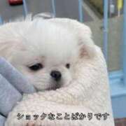 ヒメ日記 2024/12/26 21:25 投稿 ほのか クラブアリア -CLUB ARIA-