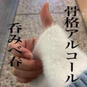 ヒメ日記 2024/12/28 21:32 投稿 ほのか クラブアリア -CLUB ARIA-