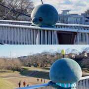 ヒメ日記 2025/02/16 20:55 投稿 ほのか クラブアリア -CLUB ARIA-