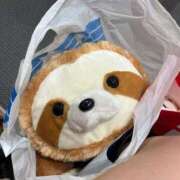 ヒメ日記 2025/02/20 21:00 投稿 ほのか クラブアリア -CLUB ARIA-