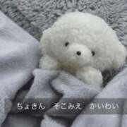 ヒメ日記 2025/03/16 21:11 投稿 ほのか クラブアリア -CLUB ARIA-