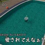 ヒメ日記 2025/04/27 20:00 投稿 ほのか クラブアリア -CLUB ARIA-