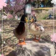 ヒメ日記 2025/09/06 19:31 投稿 ゆき 佐久上田人妻隊