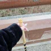 ヒメ日記 2025/01/14 19:14 投稿 亜玖里(あぐり)☆超敏感体質!! ジャックと豆の木