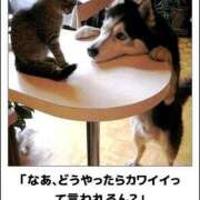 ヒメ日記 2025/01/20 12:18 投稿 亜玖里(あぐり)☆超敏感体質!! ジャックと豆の木