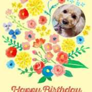 ヒメ日記 2025/05/16 16:45 投稿 亜玖里(あぐり)☆超敏感体質!! ジャックと豆の木