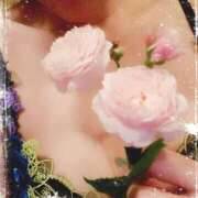 ヒメ日記 2025/06/17 11:45 投稿 亜玖里(あぐり)☆超敏感体質!! ジャックと豆の木