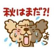 ヒメ日記 2025/07/04 14:59 投稿 亜玖里(あぐり)☆超敏感体質!! ジャックと豆の木