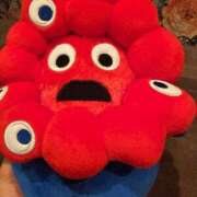 ヒメ日記 2025/09/16 19:59 投稿 亜玖里(あぐり)☆超敏感体質!! ジャックと豆の木