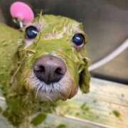 ヒメ日記 2025/10/03 11:45 投稿 亜玖里(あぐり)☆超敏感体質!! ジャックと豆の木