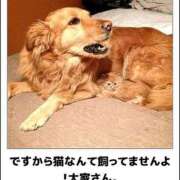 ヒメ日記 2025/10/31 10:00 投稿 亜玖里(あぐり)☆超敏感体質!! ジャックと豆の木