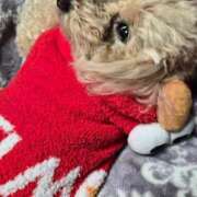 ヒメ日記 2026/02/10 09:45 投稿 亜玖里(あぐり)☆超敏感体質!! ジャックと豆の木