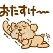 ヒメ日記 2026/06/25 13:25 投稿 亜玖里(あぐり)☆超敏感体質!! ジャックと豆の木