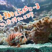 ヒメ日記 2025/04/01 12:20 投稿 乃々華(ののか) 高知デリヘル倶楽部 人妻熟女専門店